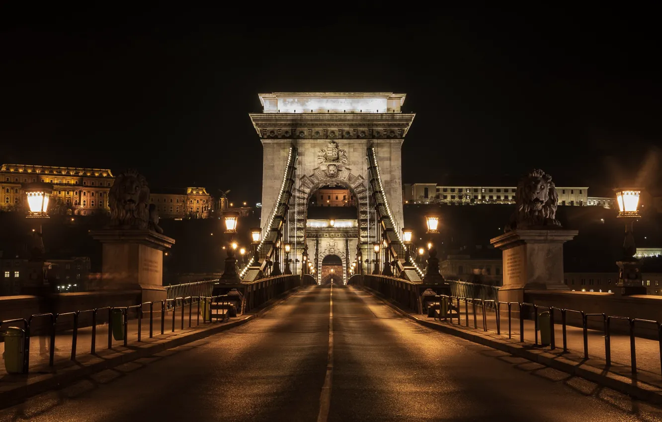 Фото обои night, Hungary, Budapest, Chain Bridge