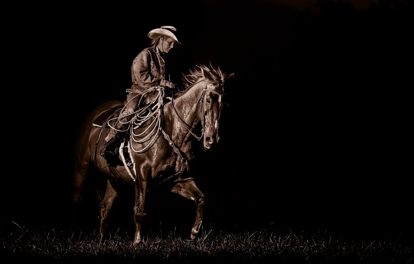 Фото обои девушка, конь, тень