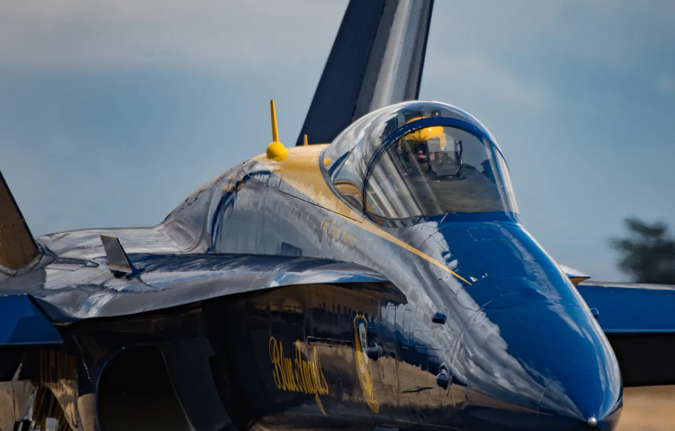 Фото обои Blue Angel, F/A-18, Голубые Ангелы, авиационная группа