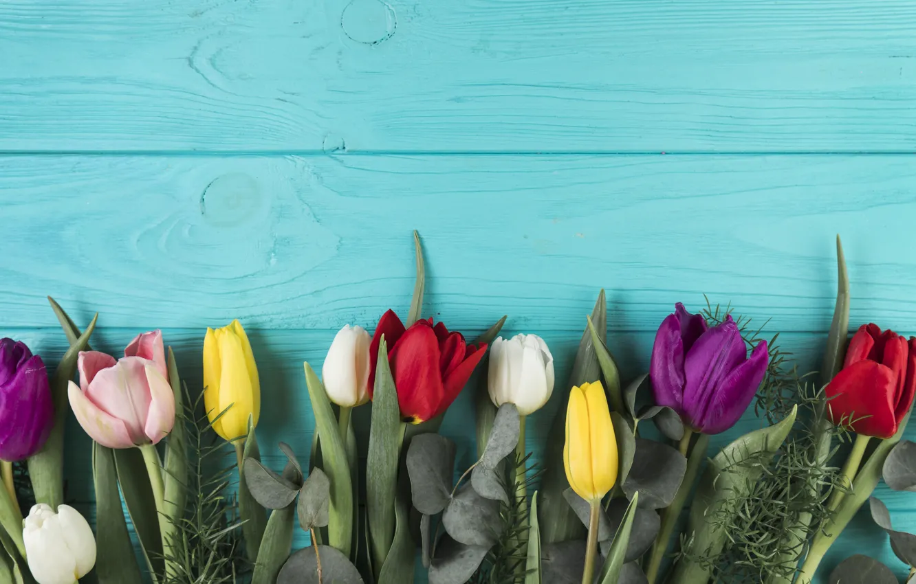 Фото обои цветы, colorful, тюльпаны, flowers, beautiful, tulips, spring, multicolored