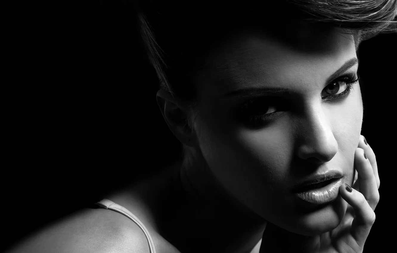 Фото обои взгляд, девушка, лицо, модель, черно-белое, Andie Valentino