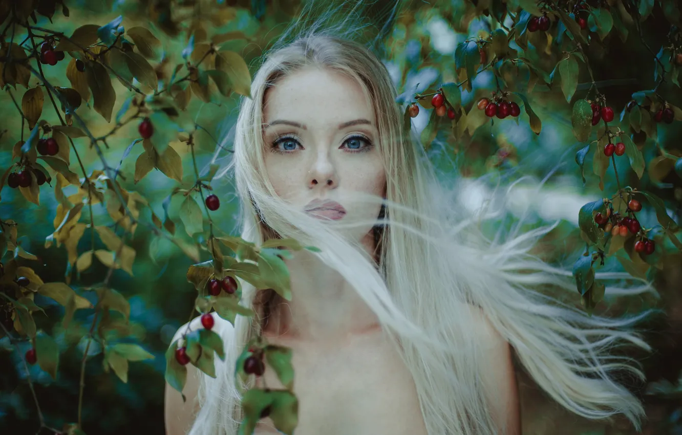 Фото обои взгляд, ветки, ягоды, длинные волосы, Zuzanna Korzeniewska