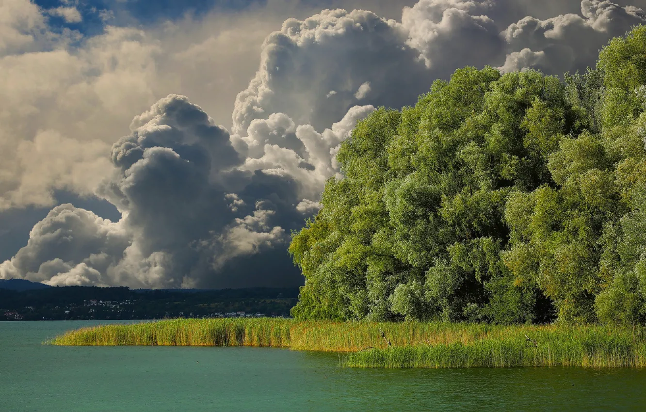 Фото обои гроза, небо, облака, деревья, река