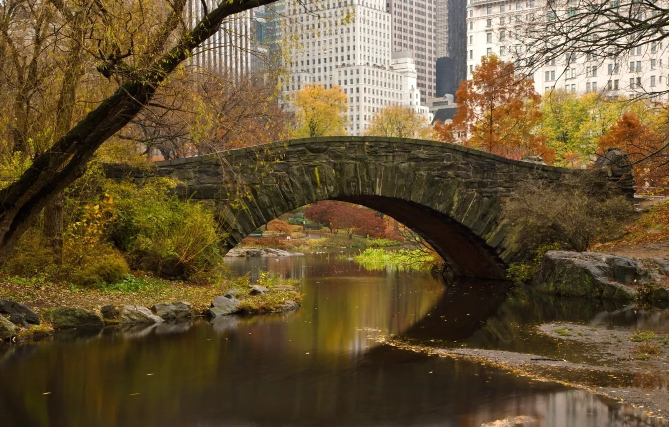 Фото обои листья, деревья, мост, город, дома, весна, речка, нью-йорк