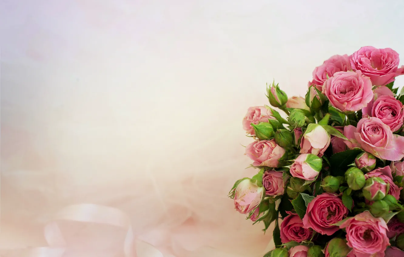 Фото обои фон, розы, букет, розовые