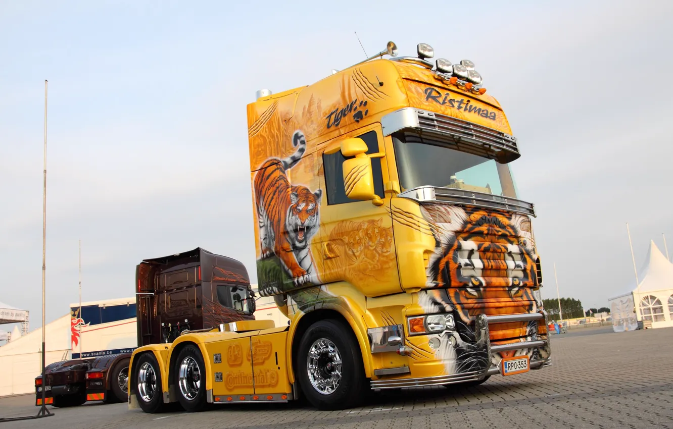 Фото обои Tiger, Yellow, Tuning, Truck, Scania, Scania R