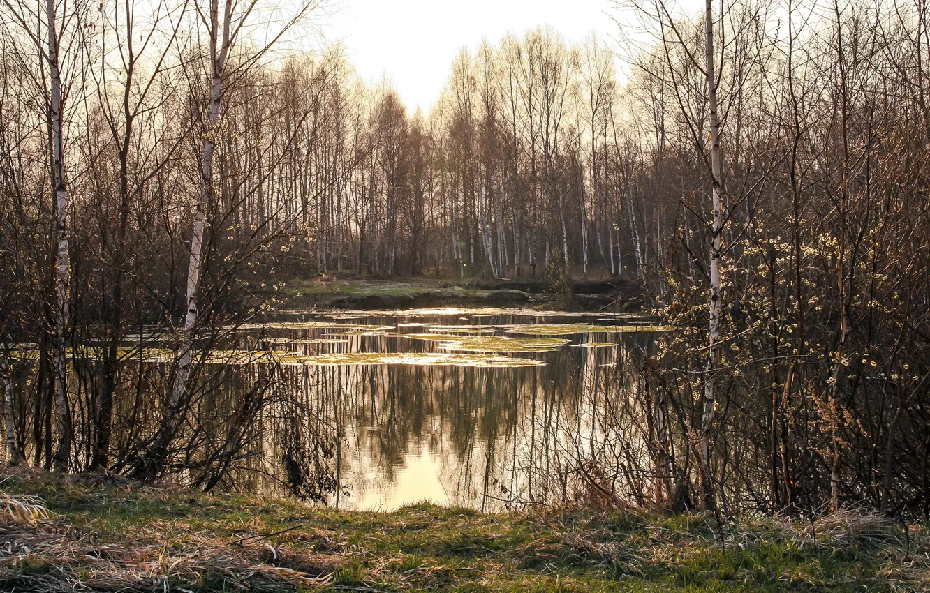Фото обои природа, озеро, весна