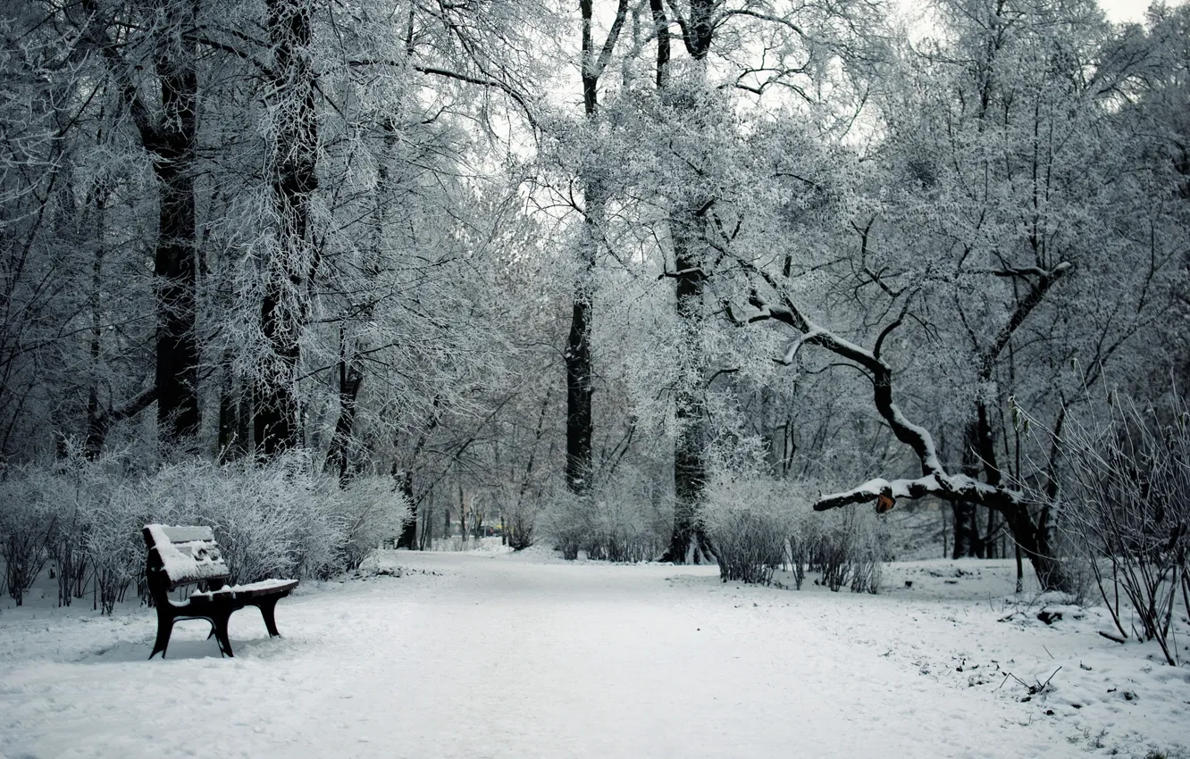 Фото обои зима, снег, парк, скамья