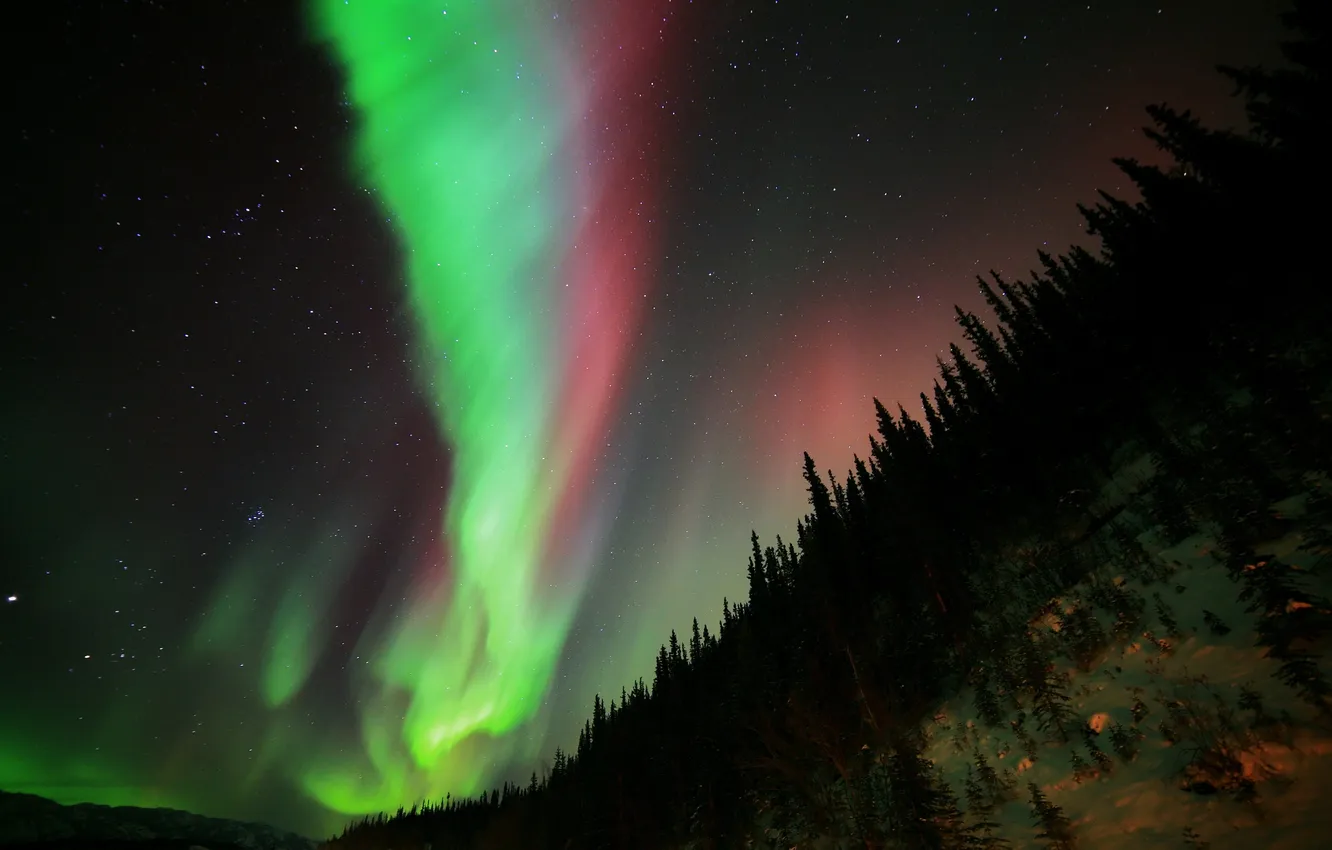 Фото обои звезды, ночь, природа, северное сияние, Aurora Borealis