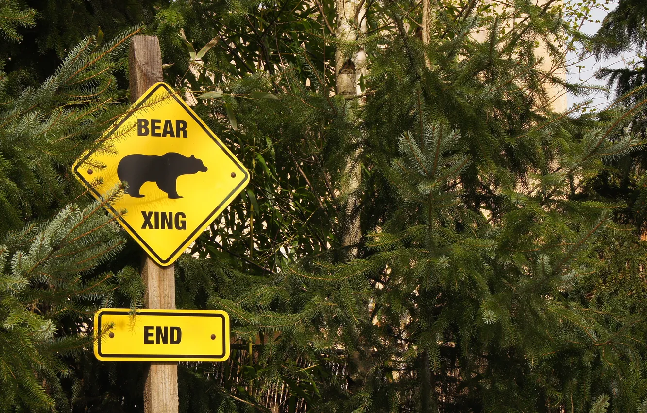 Фото обои logo, bear, end, zoo