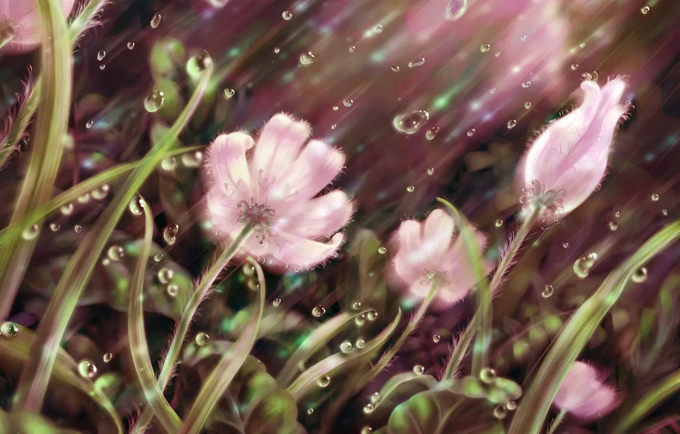 Фото обои трава, капли, линии, цветы, дождь, лепестки