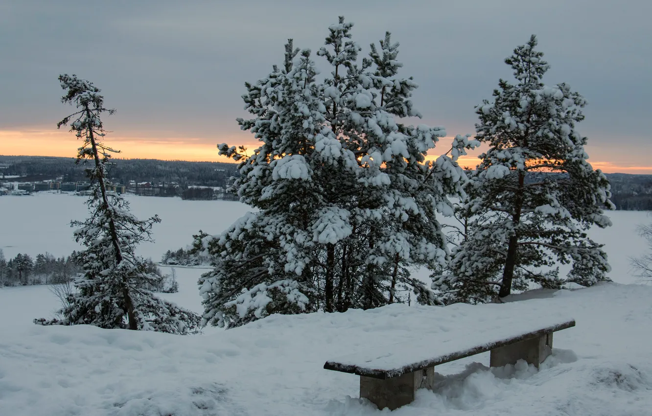 Фото обои зима, лес, небо, снег, деревья, закат, дома, вечер