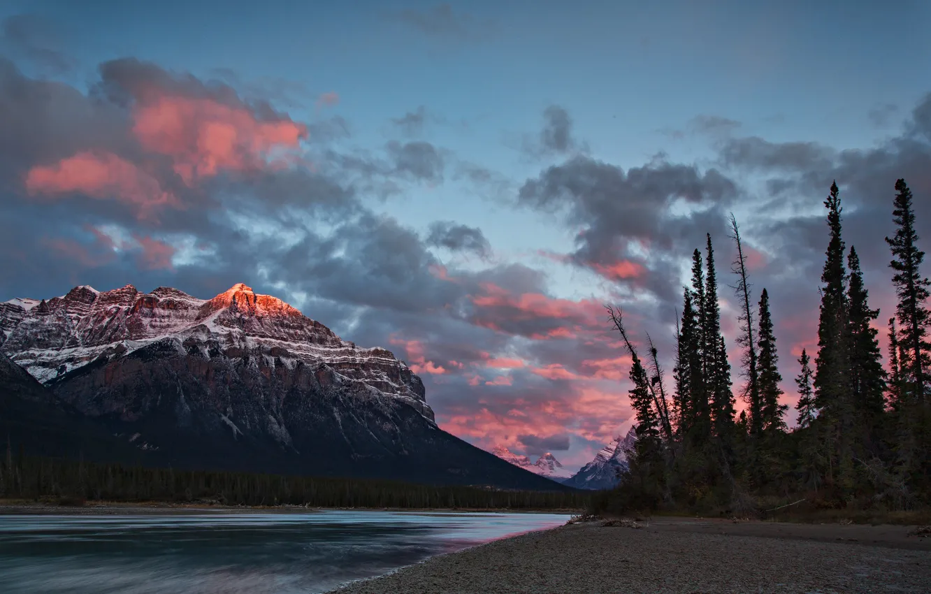Фото обои лес, облака, горы, озеро, берег, вершины, вечер, ели