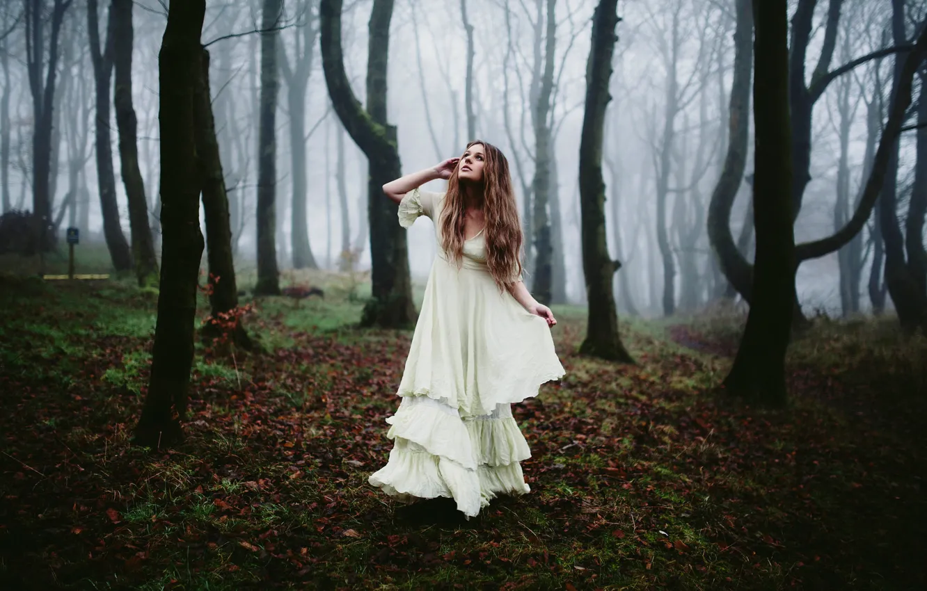 Фото обои лес, девушка, туман, утро, платье