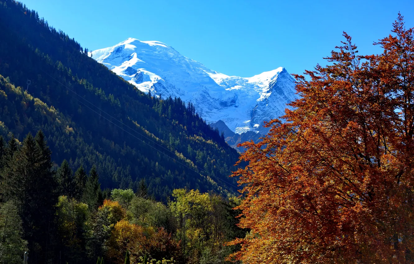 Фото обои Mont Blanc, Europa, Alpen, Schweiz