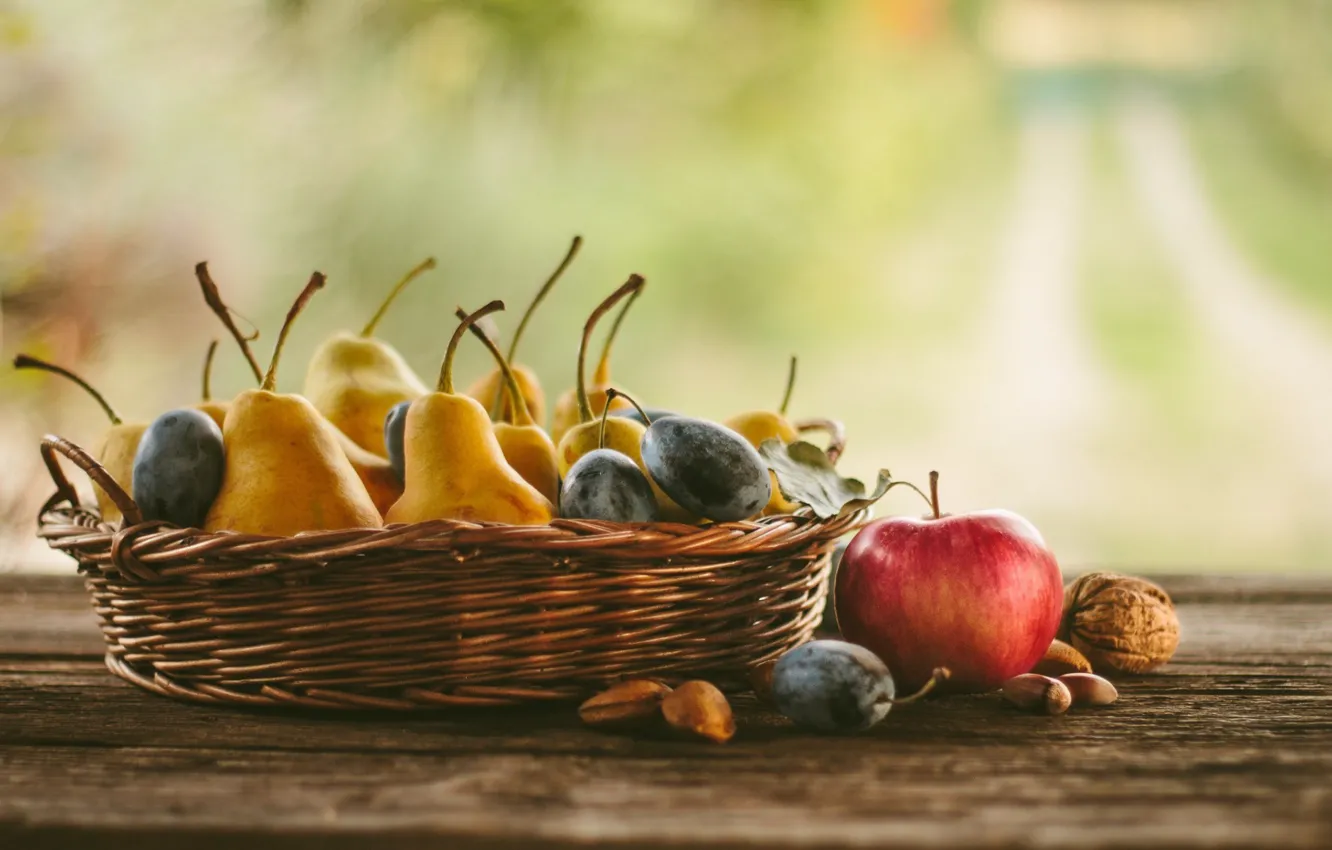 Фото обои яблоки, фрукты, орехи, натюрморт, сливы, груши