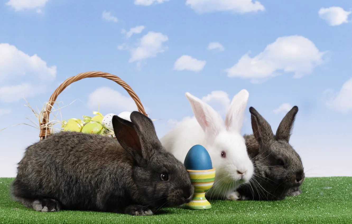 Фото обои корзина, яйца, Пасха, кролики, пасхальные