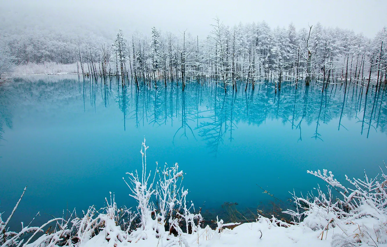 Фото обои зима, озеро, красота, сказка, Japan, photo, blue, snow