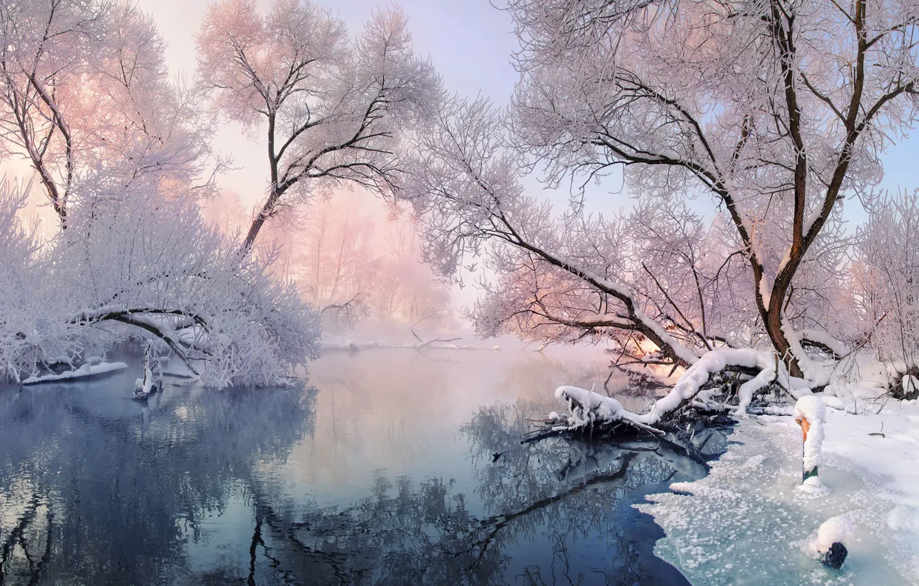 Фото обои зима, пейзаж, приода