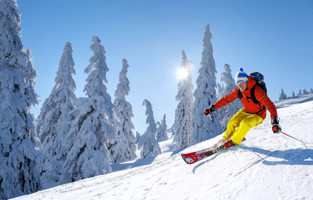 Фото обои зима, небо, солнце, снег, деревья, спуск, шапка, лыжи