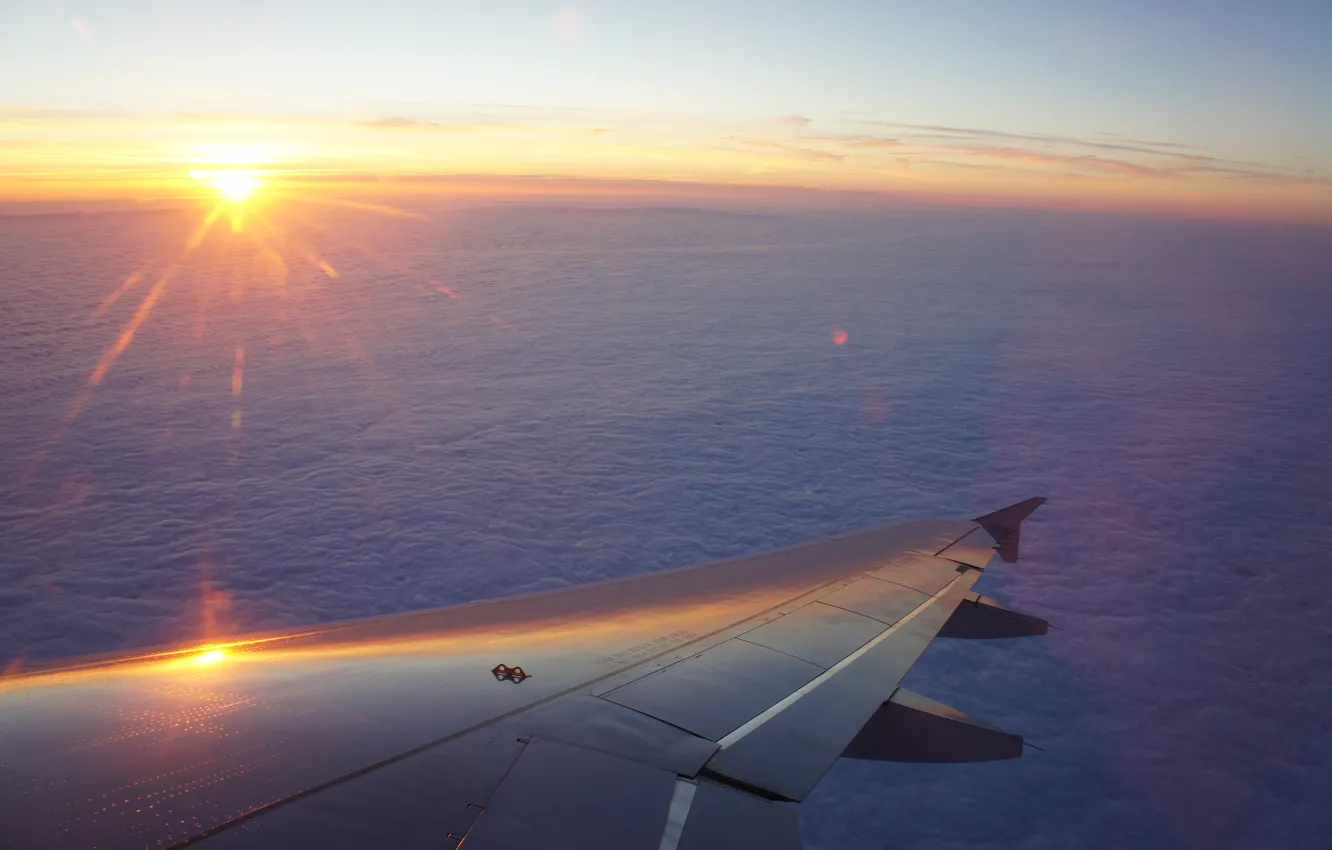 Фото обои небо, закат, Солнце, крыло, полёт, самолёт