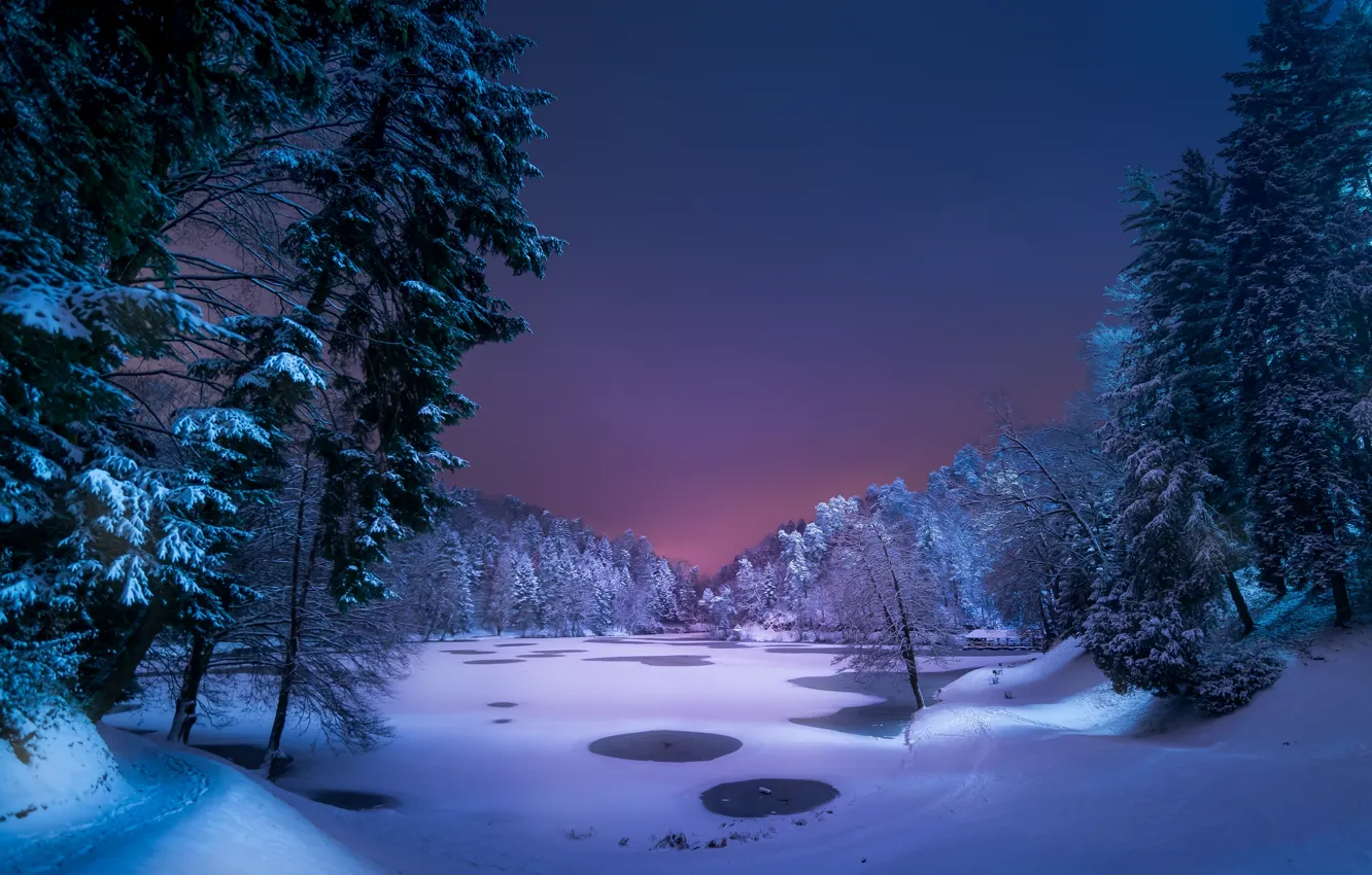Фото обои зима, лес, снег, ночь, озеро