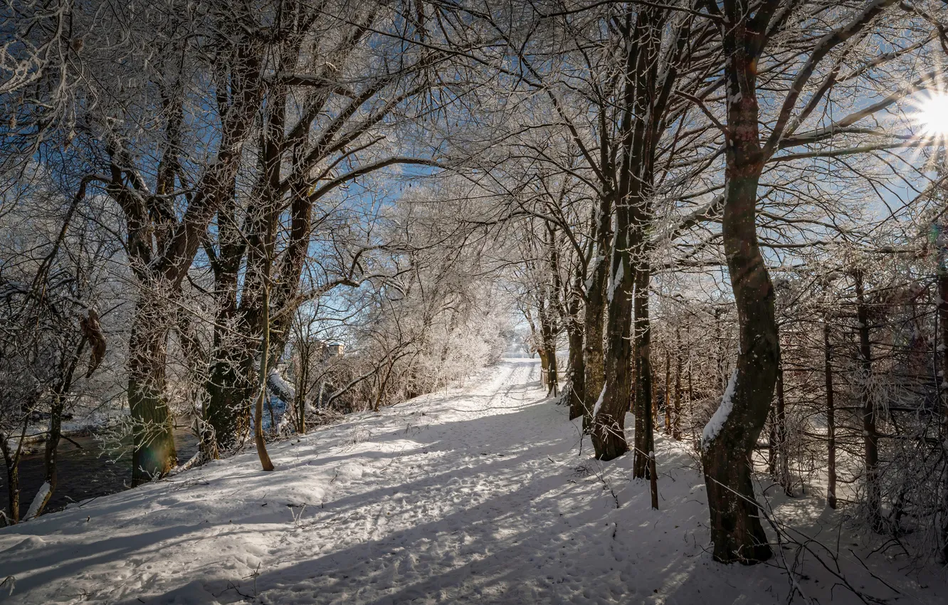 Фото обои зима, иней, дорога, лес, небо, солнце, лучи, свет