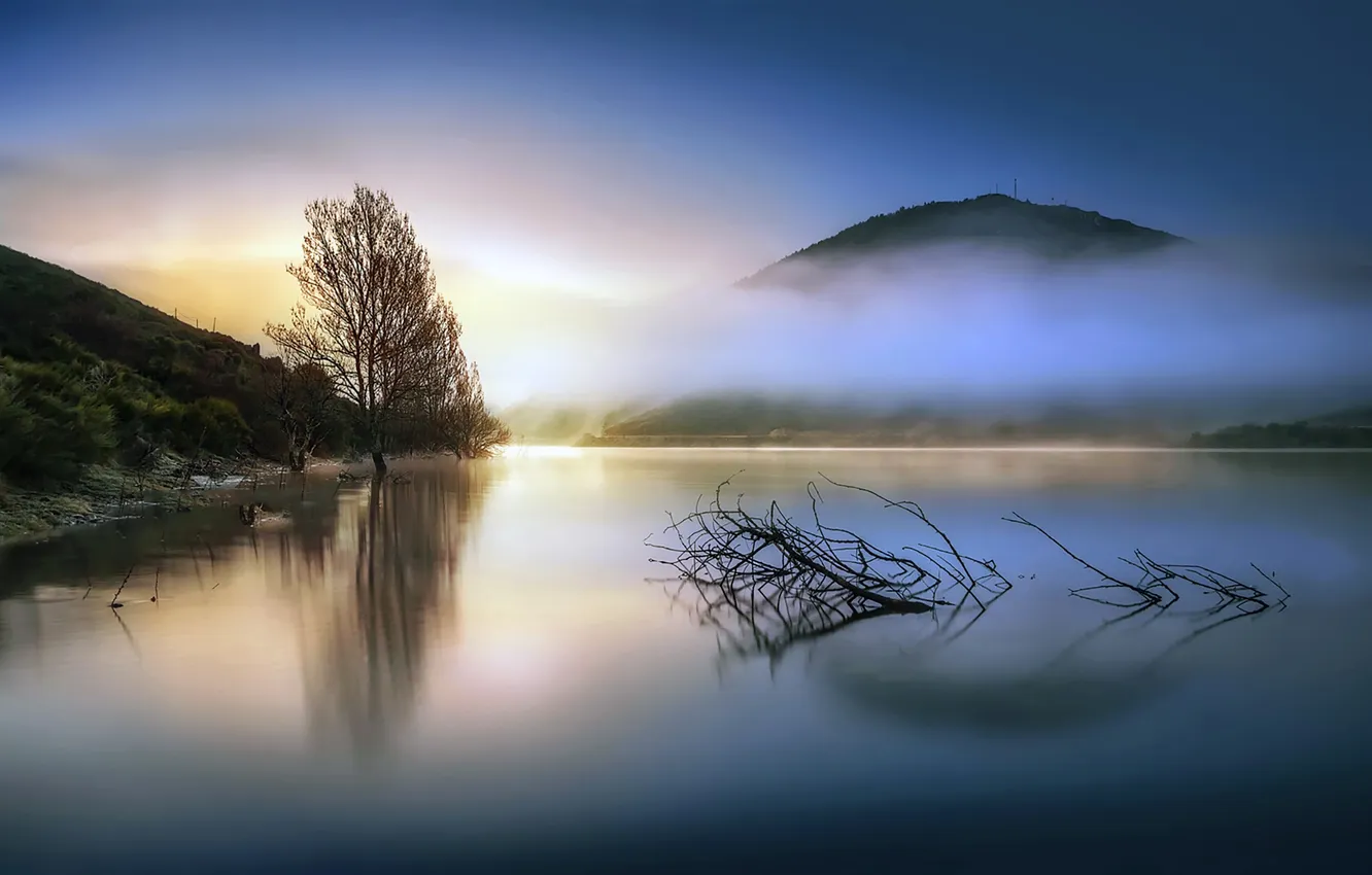 Фото обои солнце, туман, озеро, дерево, холмы, Горы