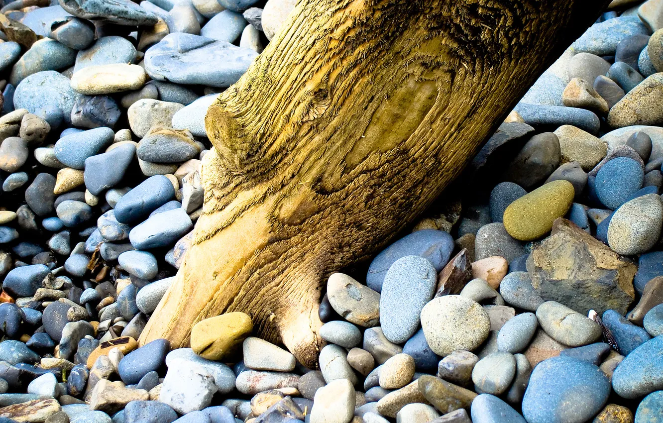 Фото обои пляж, макро, галька, камни, дерево, берег, бревно, брёвна