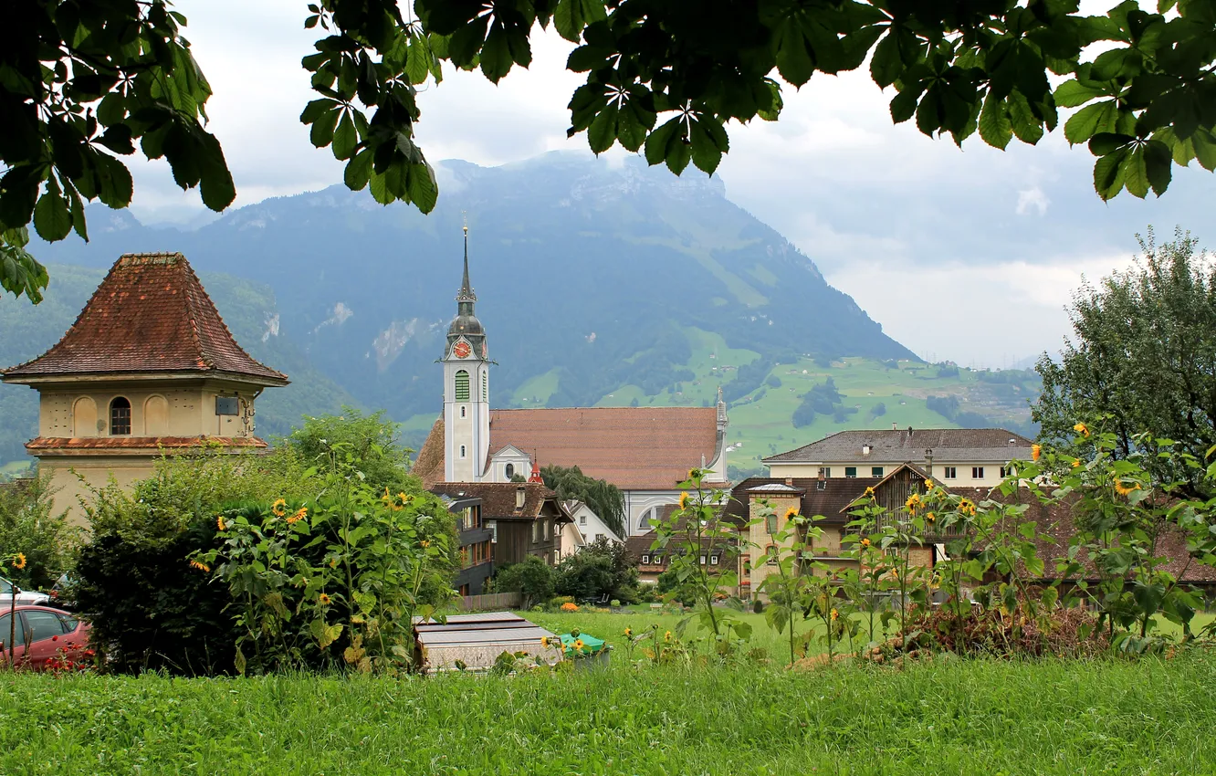 Фото обои трава, листья, горы, ветки, поля, дома, подсолнух, Швейцария