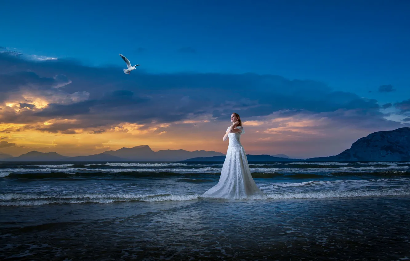 Фото обои море, пляж, девушка, синева, рендеринг, берег, чайка, прибой