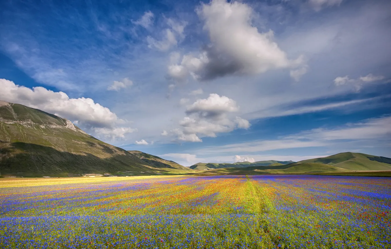 Фото обои поле, облака, горы, field, многоцветный, clouds, mountain, multicolor