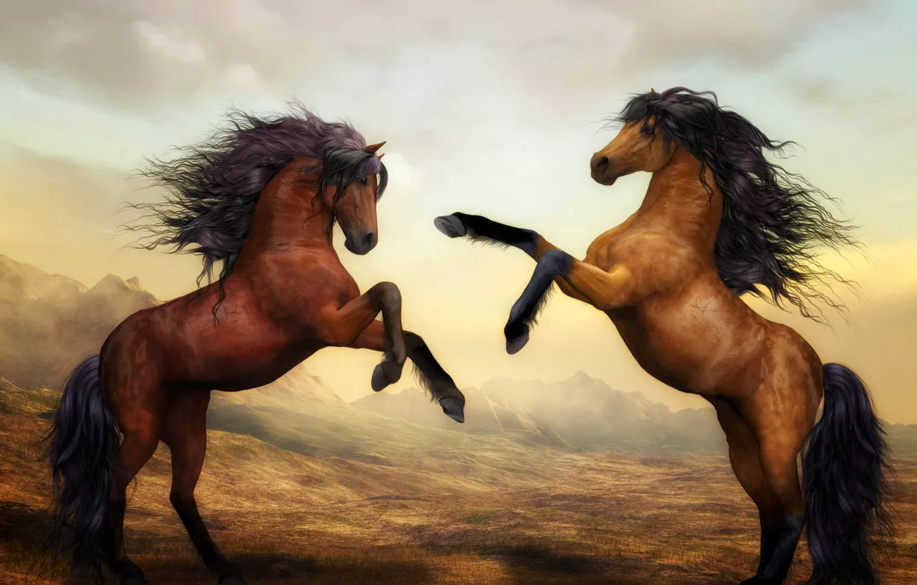 Фото обои рисунок, кони, лошади, пара