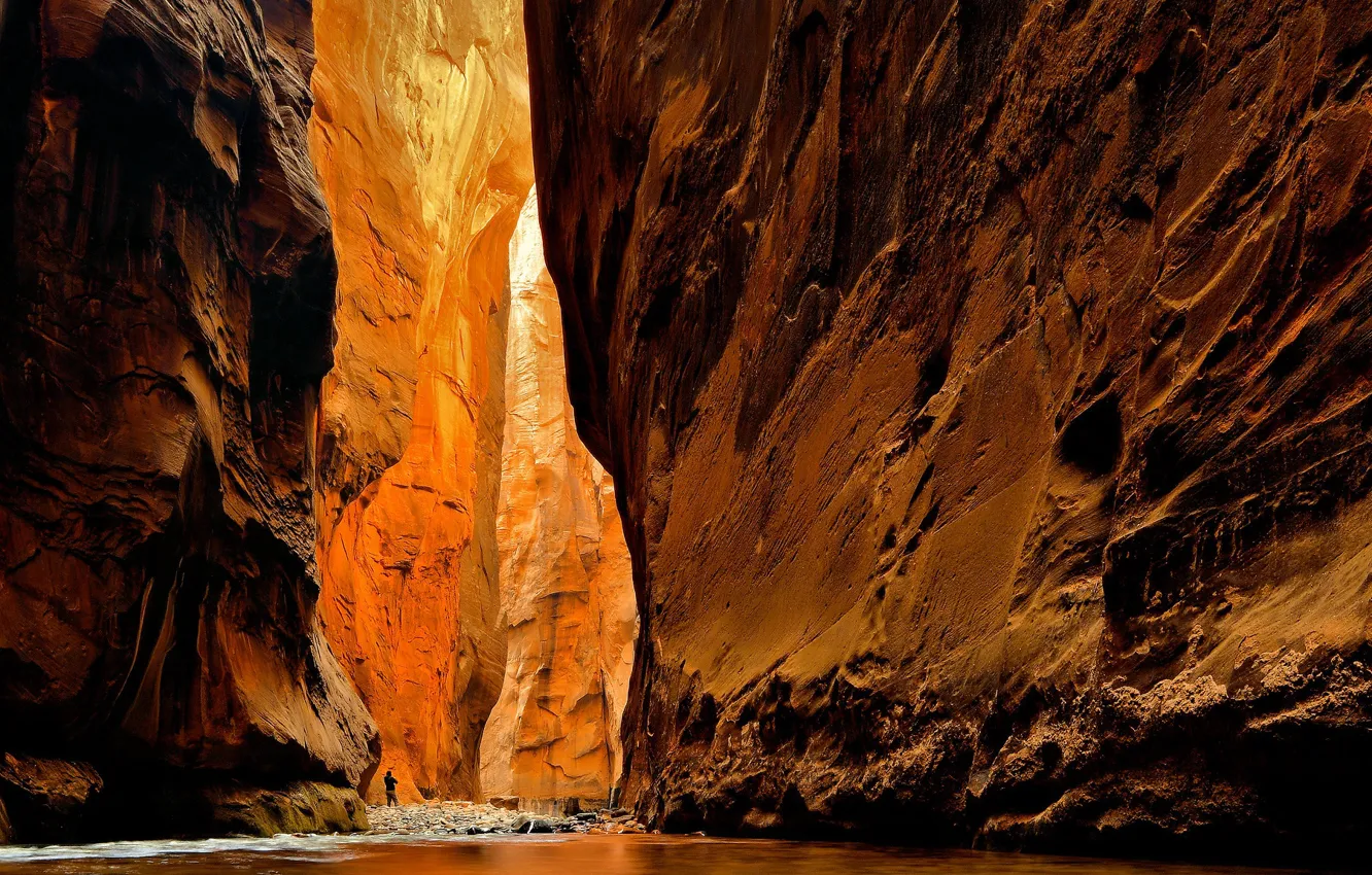 Фото обои National Park, Zion, Virgin River, Utah.Canyon
