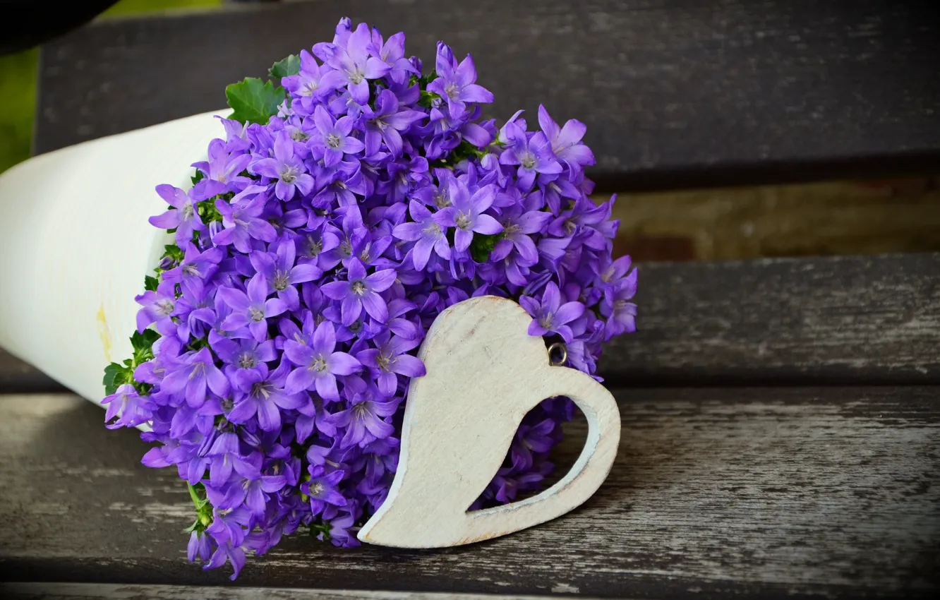 Фото обои фиолетовый, цветы, дерево, букет, горшок, сердечко