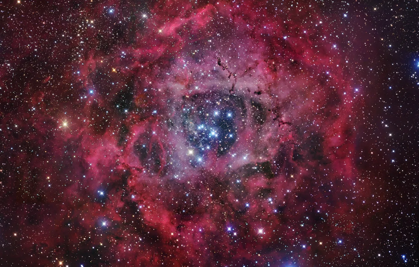 Фото обои звезды, Туманность, rosette nebula