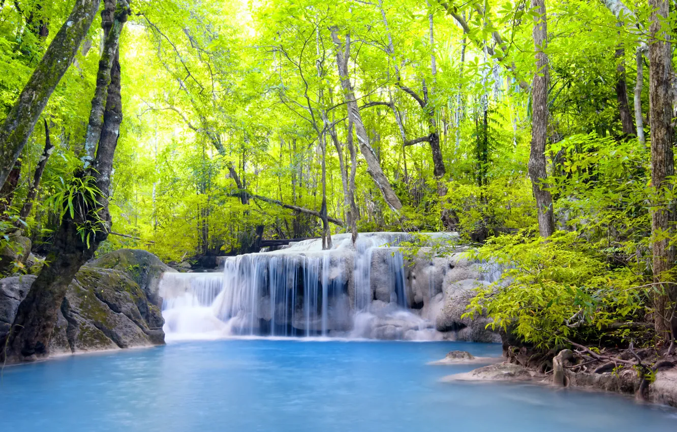Фото обои лес, река, водопад, forest, river, landscape, waterfall, emerald