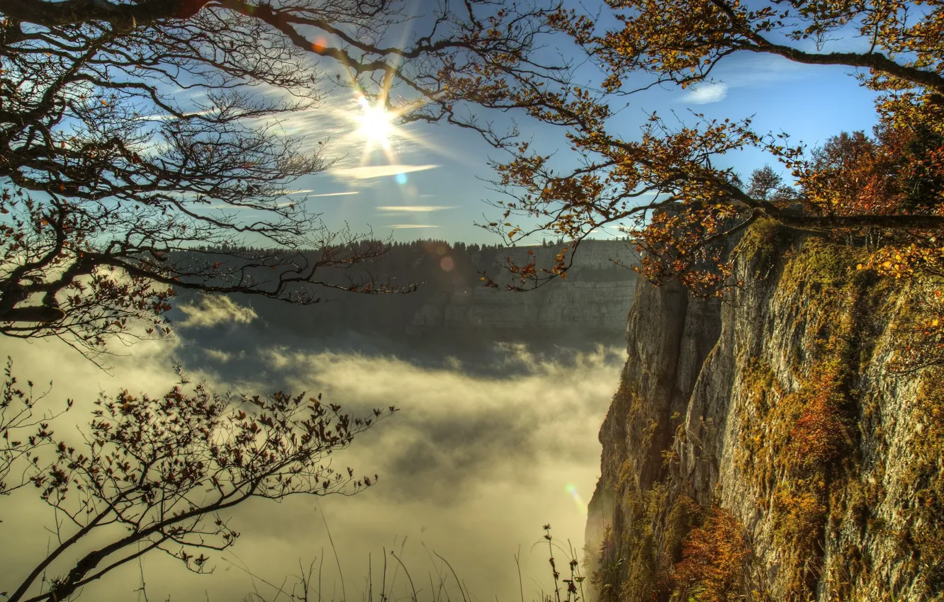 Фото обои небо, туман, утро