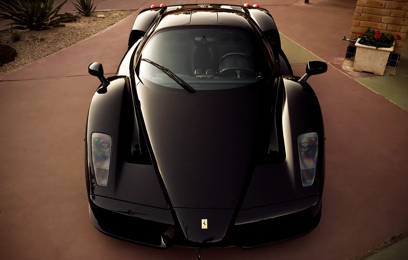 Фото обои черный, Ferrari, суперкар, supercar, феррари, black, enzo, front
