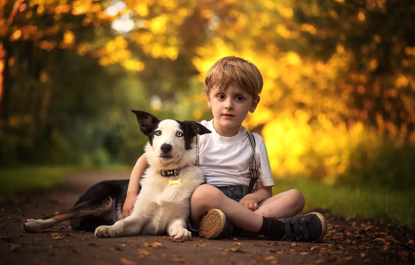Фото обои собака, мальчик, дружба, друзья, бордер-колли