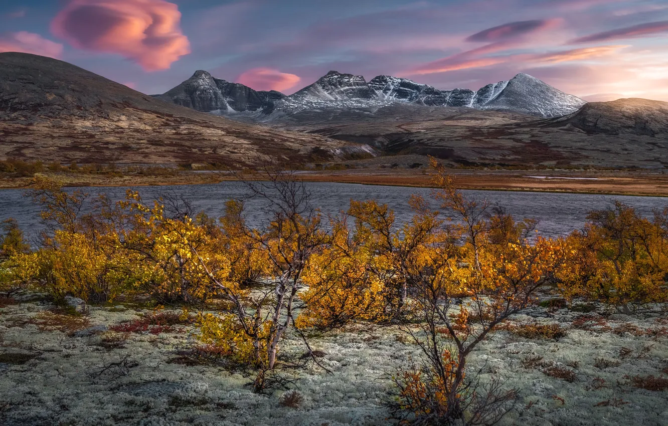 Фото обои осень, горы, озеро, Норвегия, кусты, Norway, Rondane National Park, Rondane Mountains