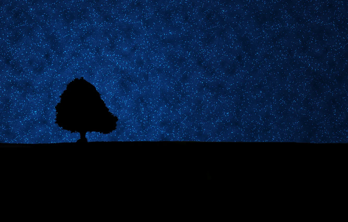 Фото обои небо, дерево, звёзды