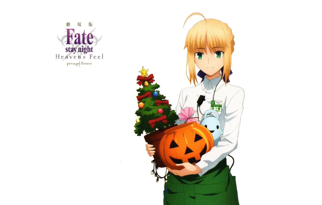 Фото обои белый фон, halloween, зеленые глаза, pumpkin, Saber, рождественская елка, белая блузка, бейджик