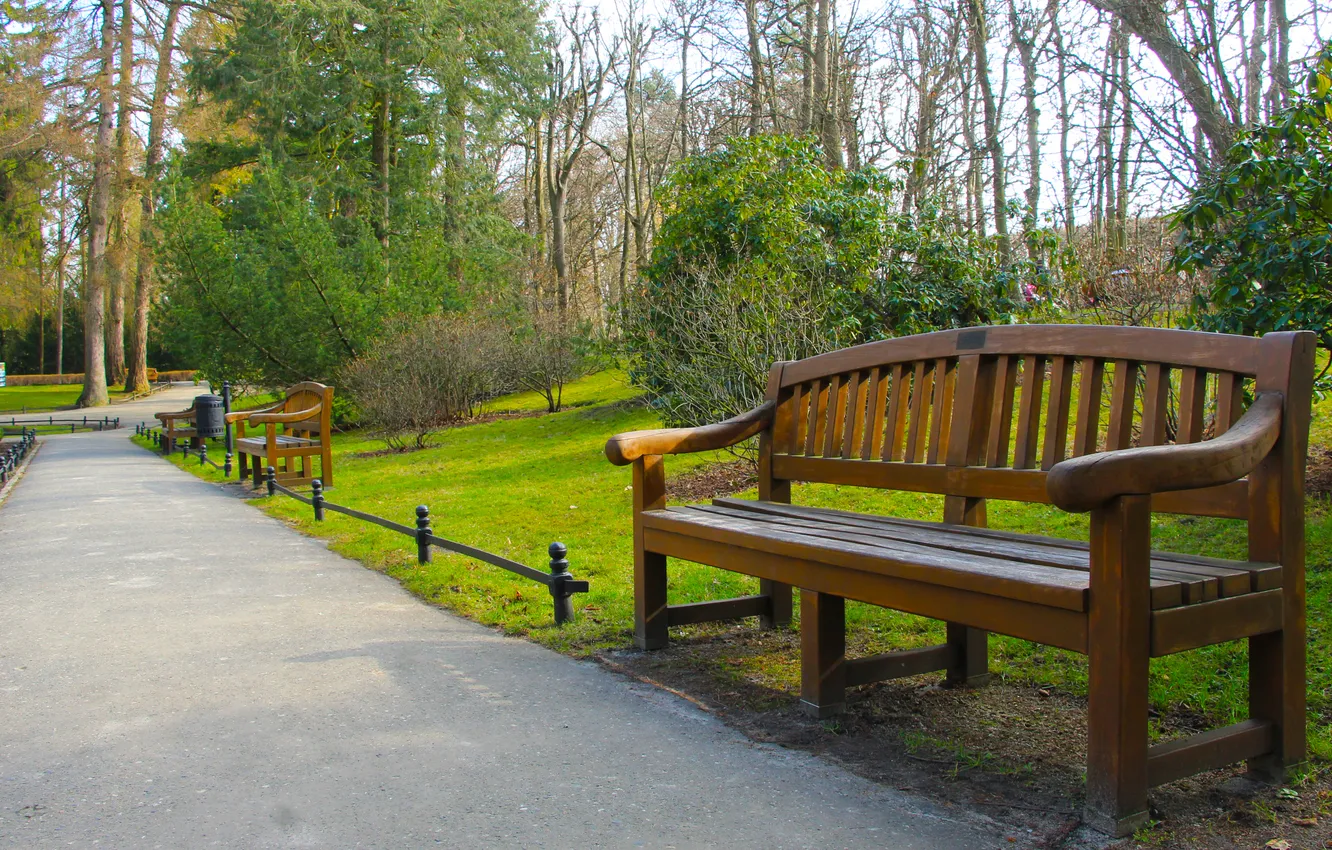Фото обои park, bench, alley