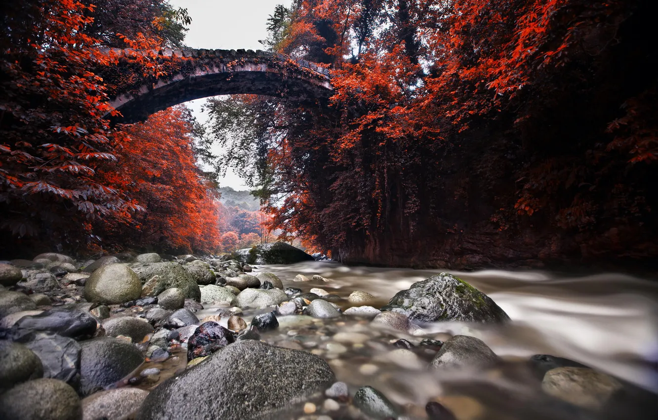 Фото обои осень, мост, природа, река, камни