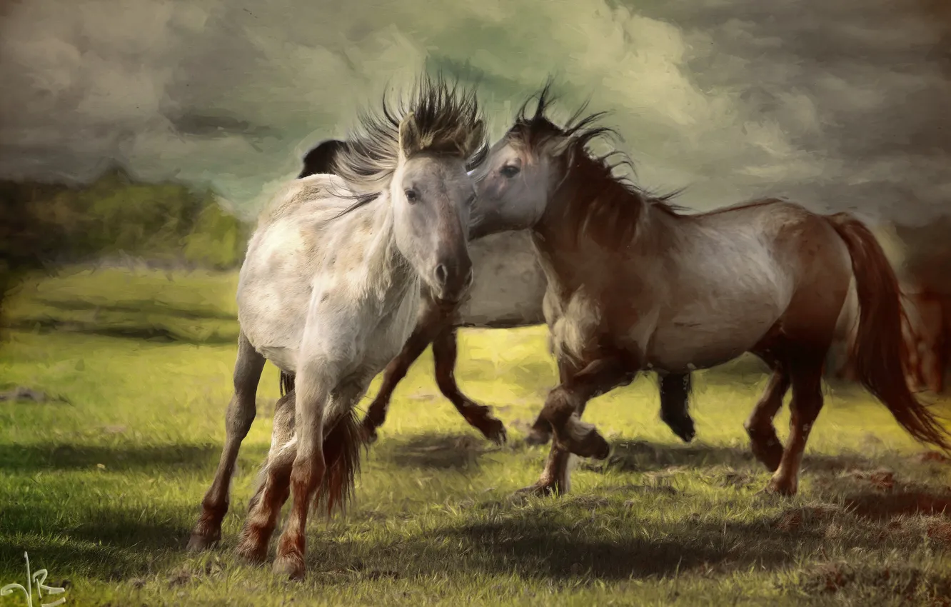 Фото обои кони, лошади, арт, пара