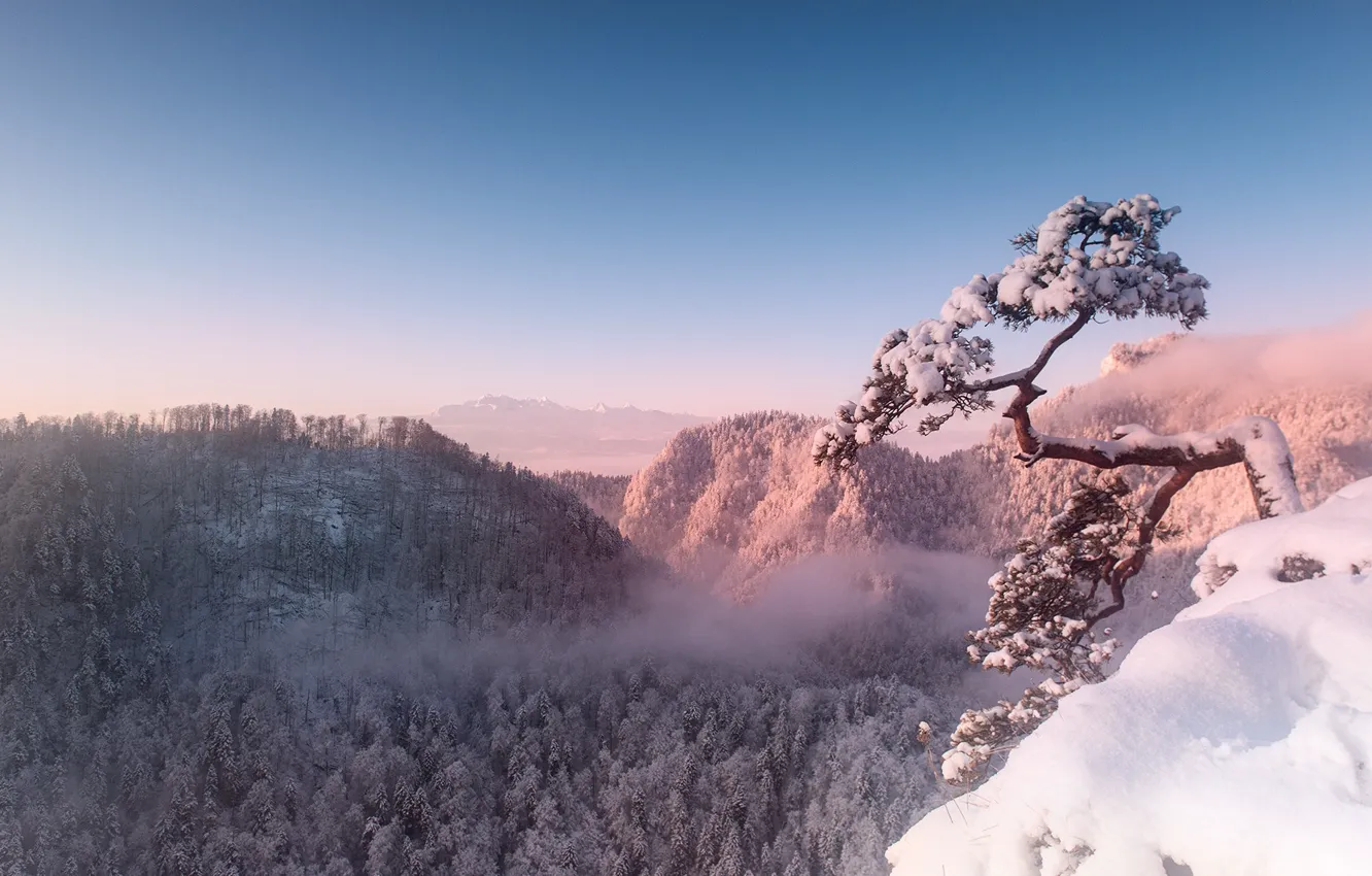 Фото обои зима, пейзаж, горы, природа, туман, дерево, скалы, красота