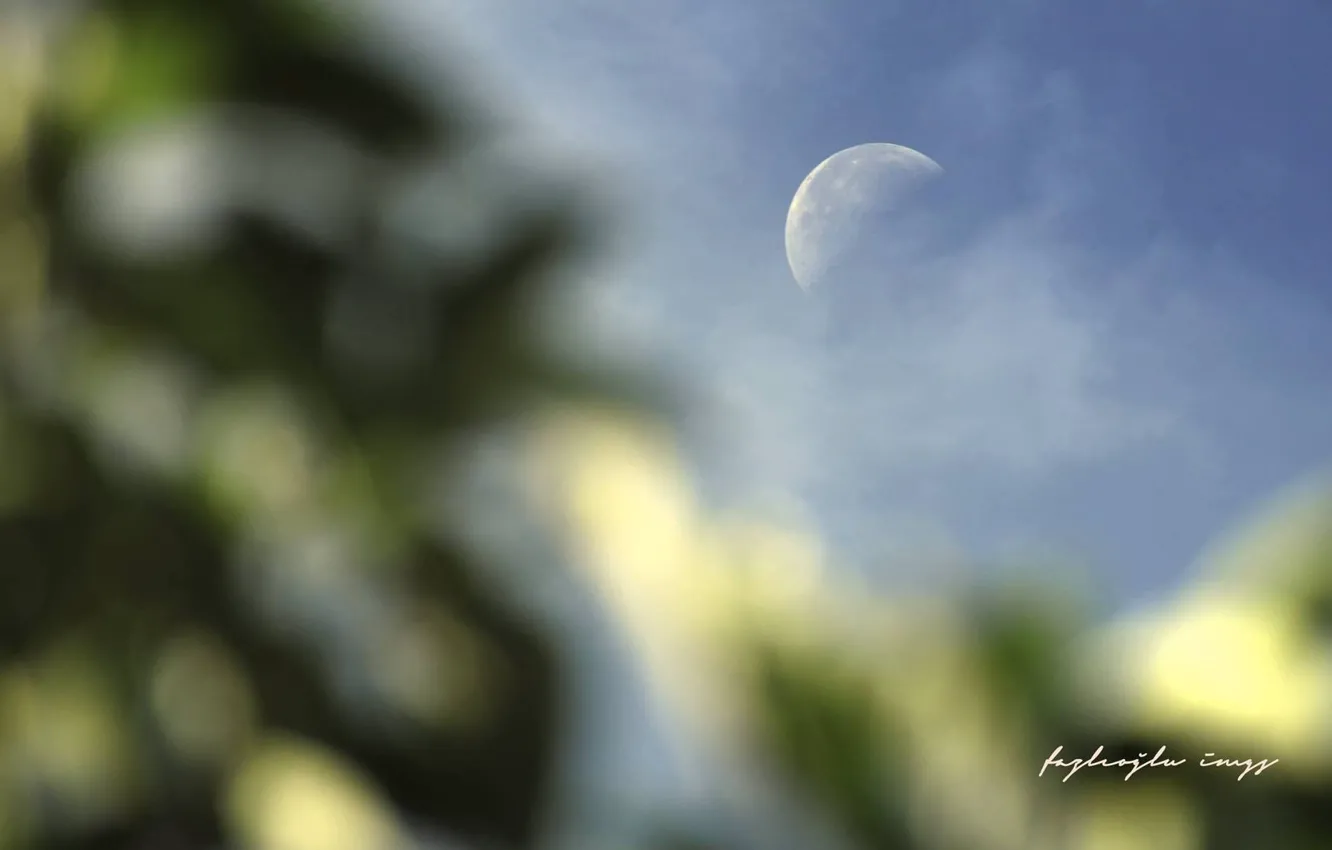 Фото обои moon, sky, daylight