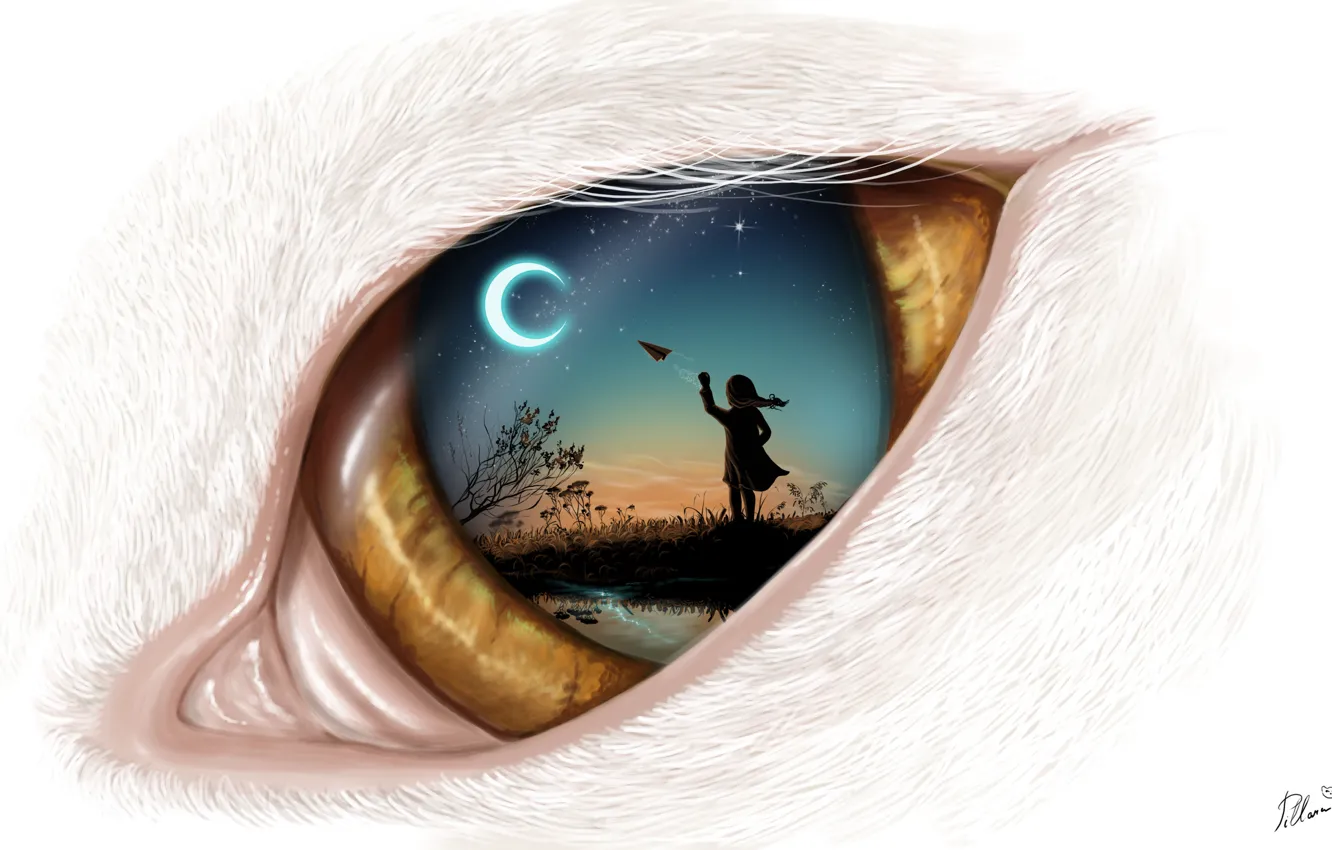 Фото обои небо, ночь, луна, арт, кошачий глаз, самолетик