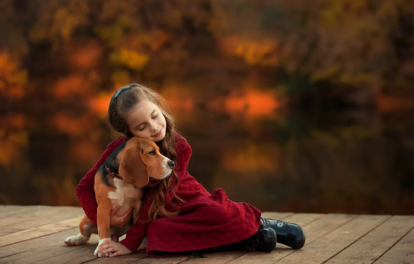 Фото обои собака, дружба, девочка, друзья, боке, обнимашки, Бигль, Екатерина Борисова